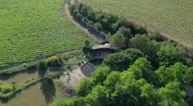 L'Etang Des Cigales Daire Uchaux Dış mekan fotoğraf