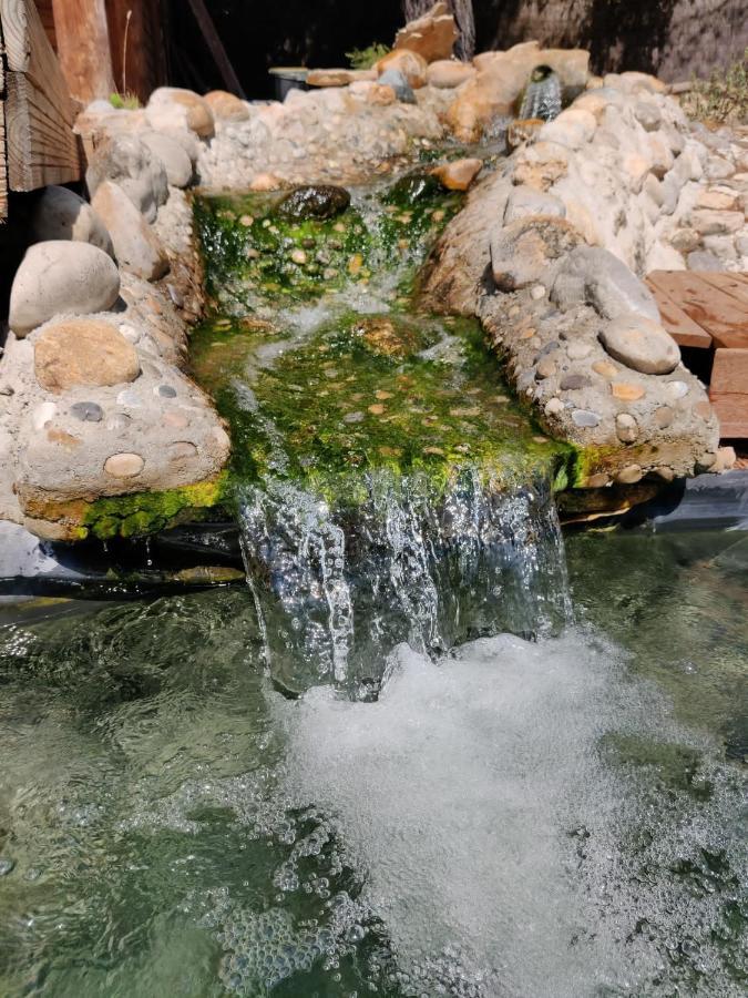 L'Etang Des Cigales Daire Uchaux Dış mekan fotoğraf