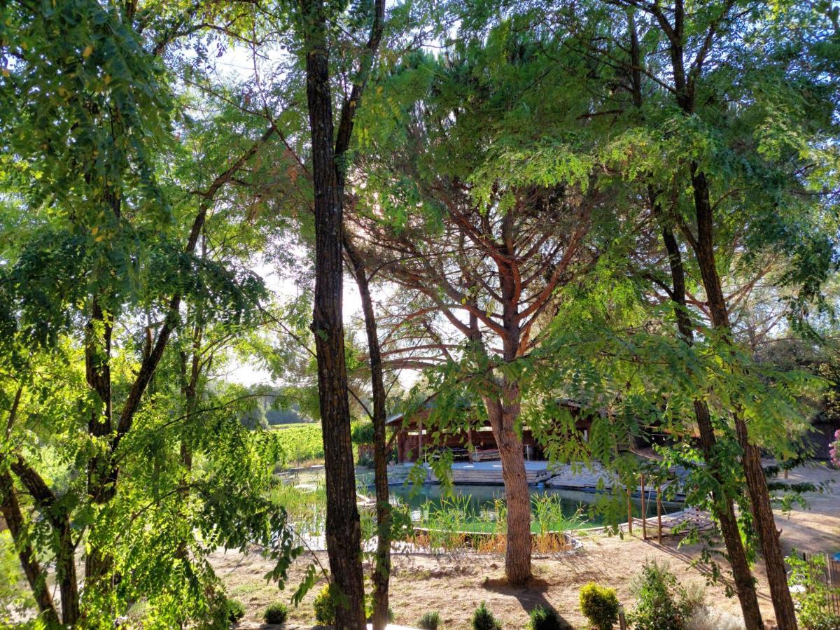 L'Etang Des Cigales Daire Uchaux Dış mekan fotoğraf