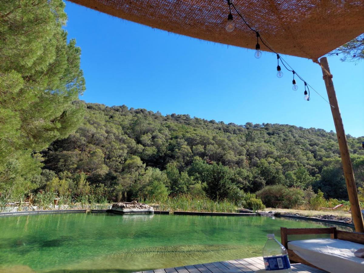 L'Etang Des Cigales Daire Uchaux Dış mekan fotoğraf